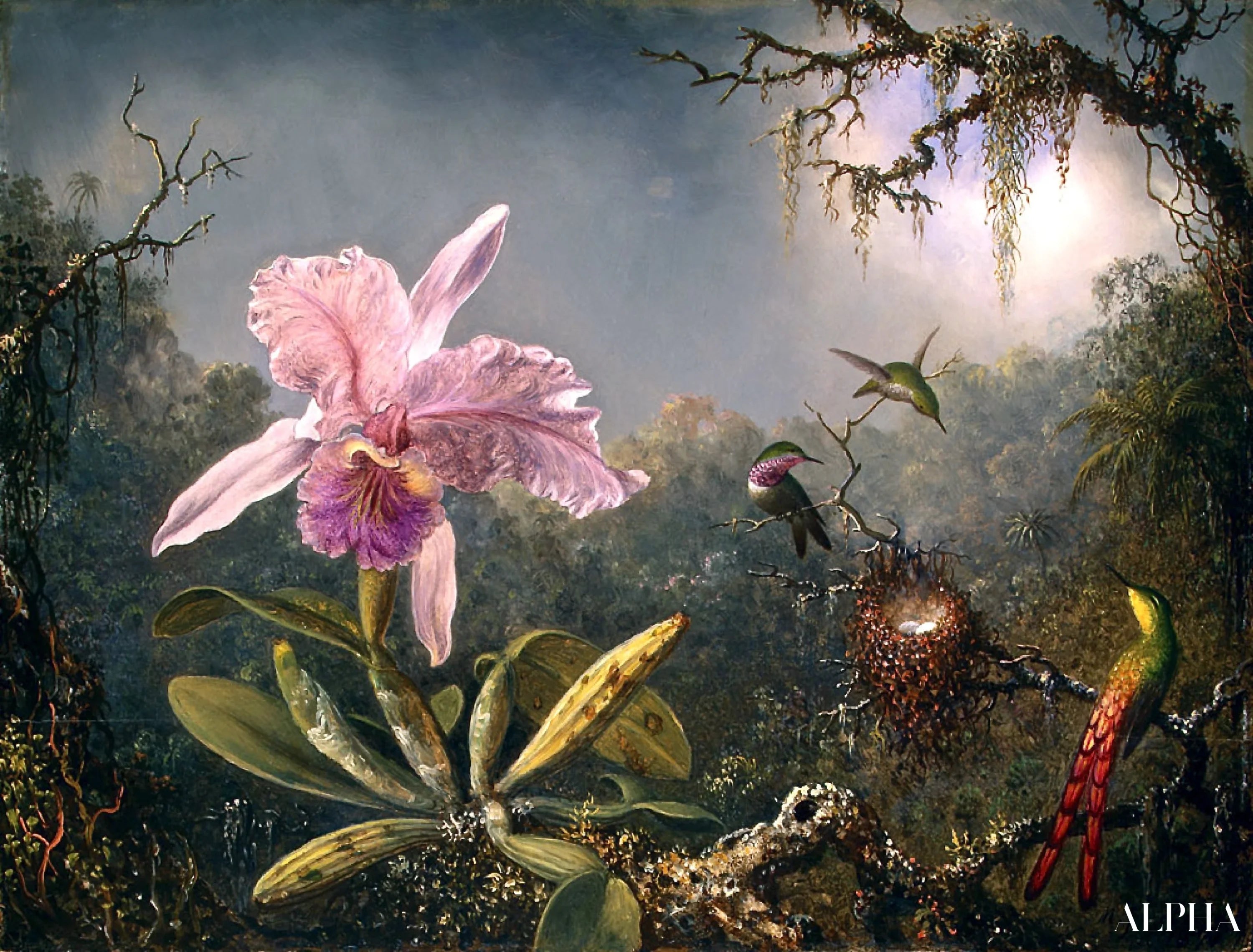 20 Berømte Malerier av Martin Johnson Heade