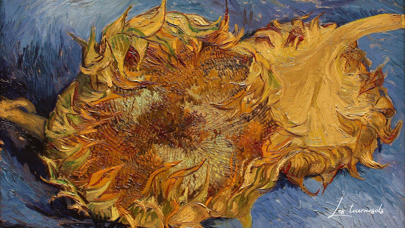 Van Gogh Solsikker