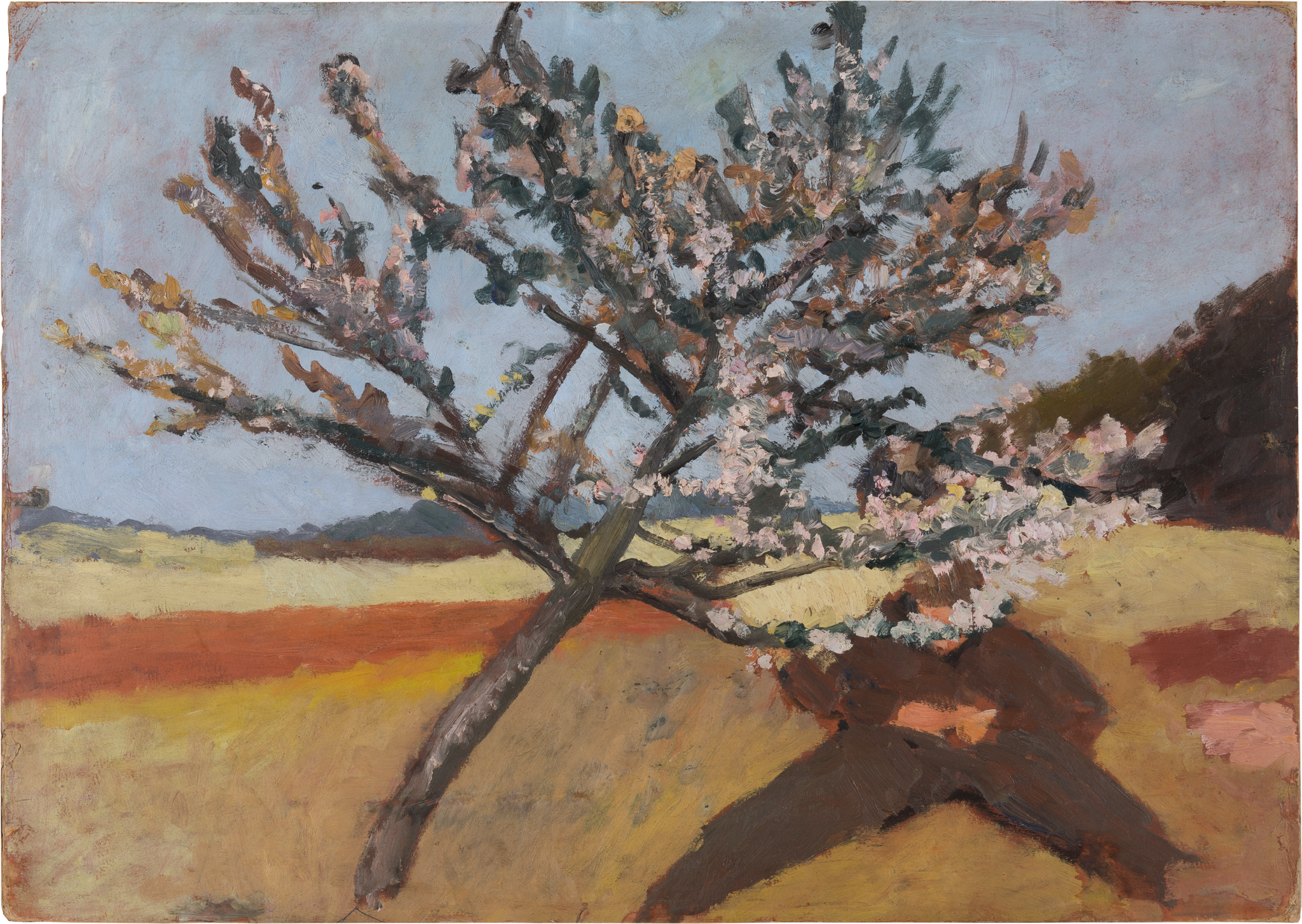 Man lying beneath a Blossoming Tree - Paula Modersohn-Becker