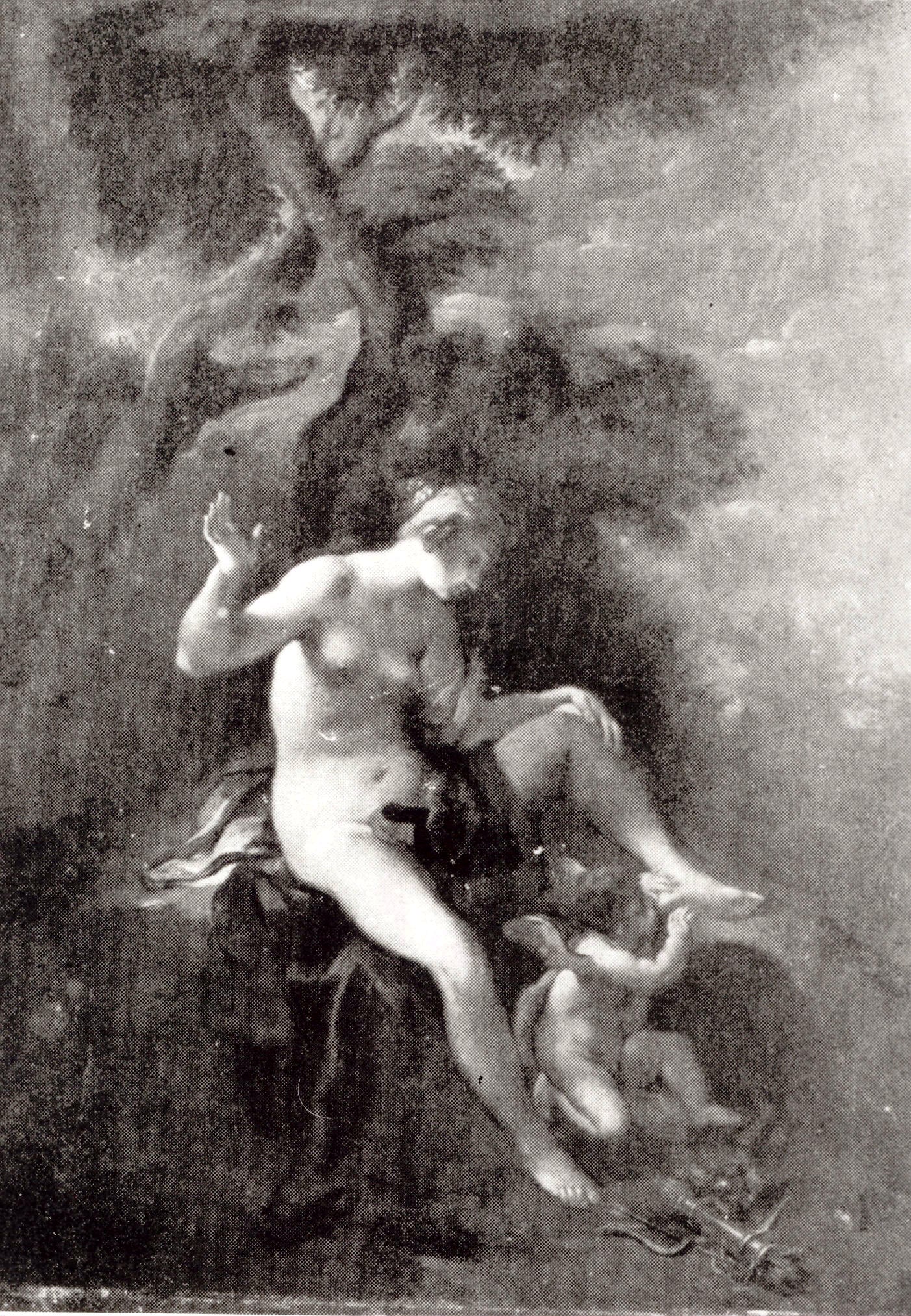 Vénus et l'Amour - Francesco Albani