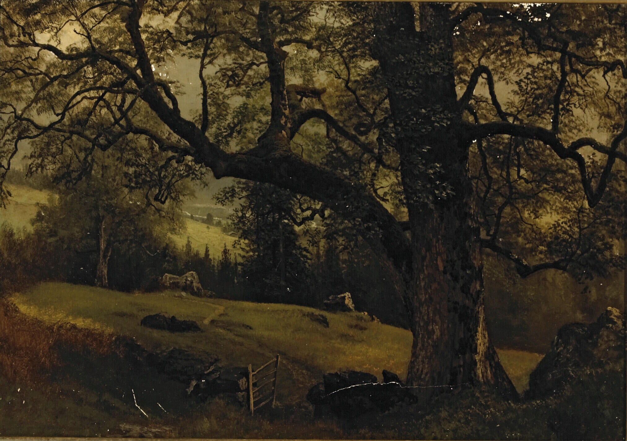Un sentier à travers les arbres - Albert Bierstadt