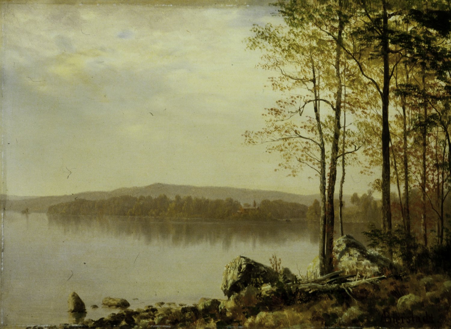 Paysage - Albert Bierstadt