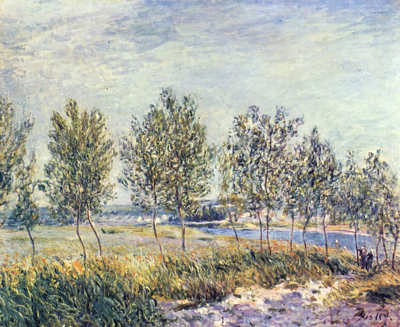 Poppeltrær ved en elv - Alfred Sisley