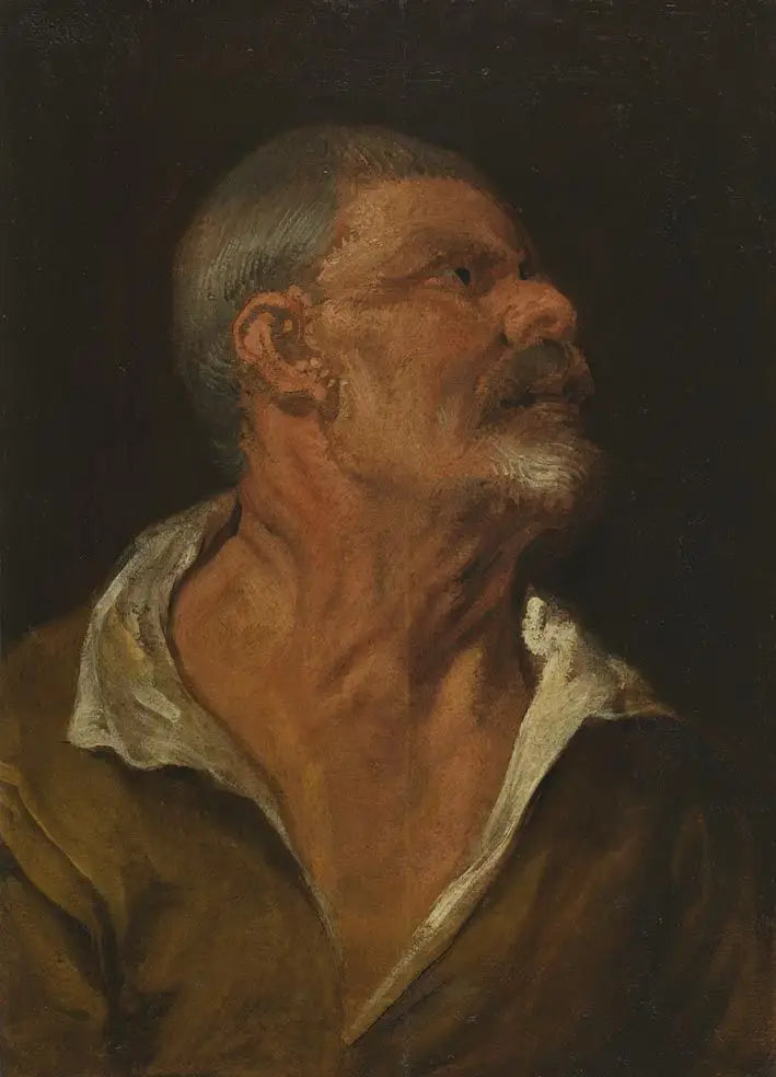 Étude d’une tête - Antoine van Dyck - Alpha Reproduction