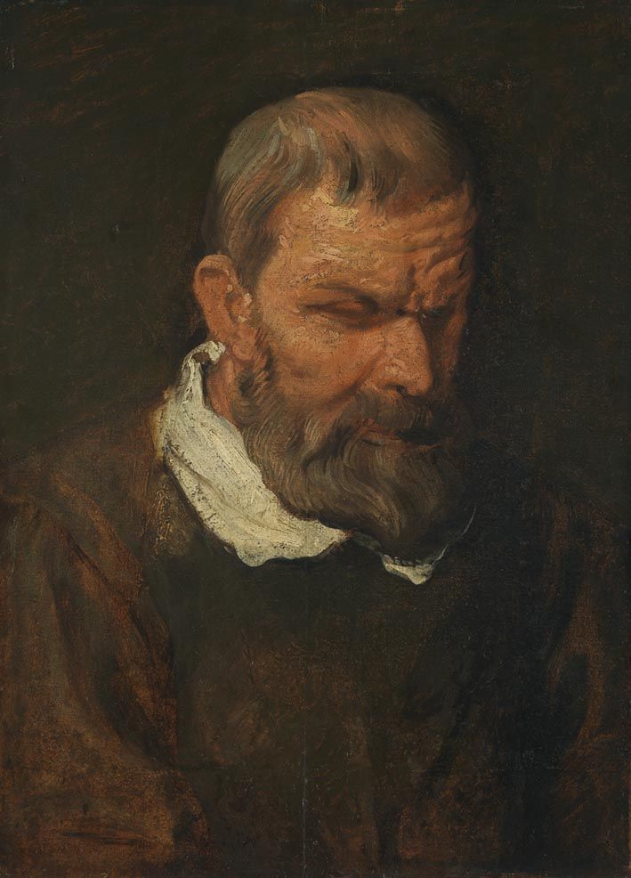 Tête d'étude d'un apôtre - Antoine van Dyck