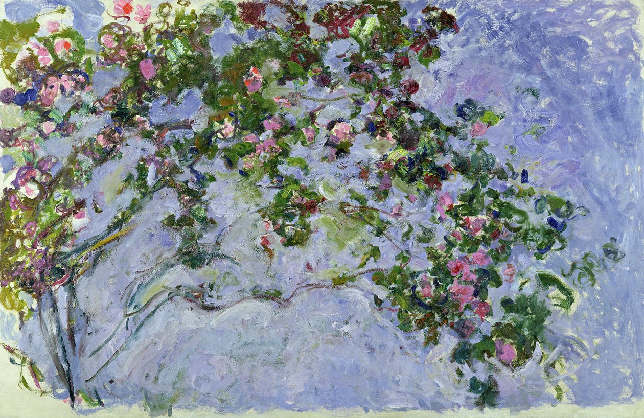 🌺 Rosene Claude Monet (1925–1926)