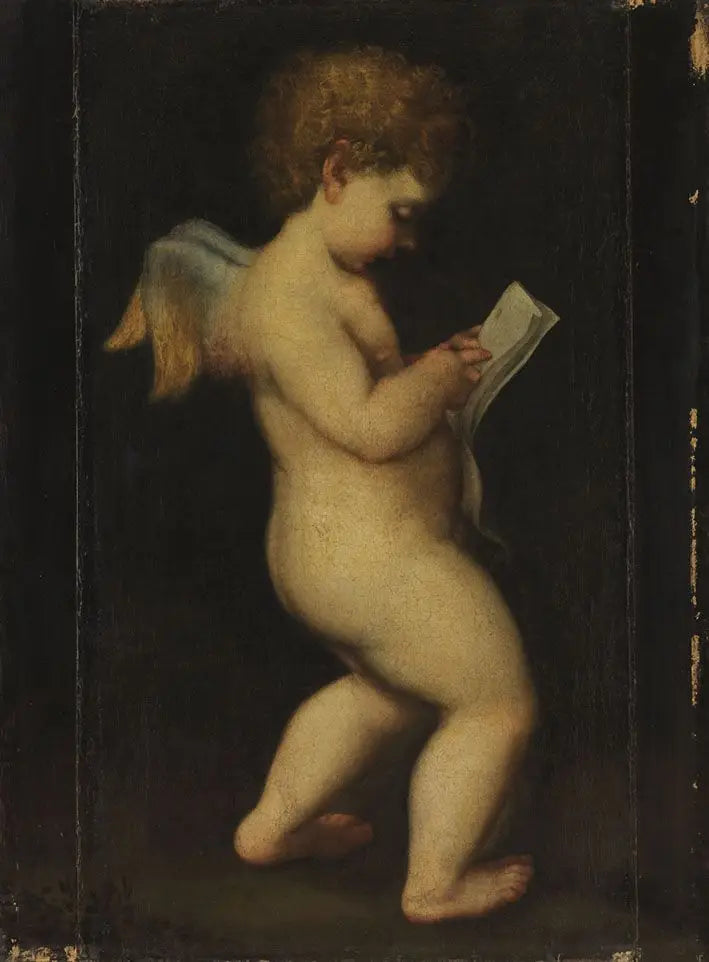 Q29953490 - Antonio da Correggio - Alpha Reproduction