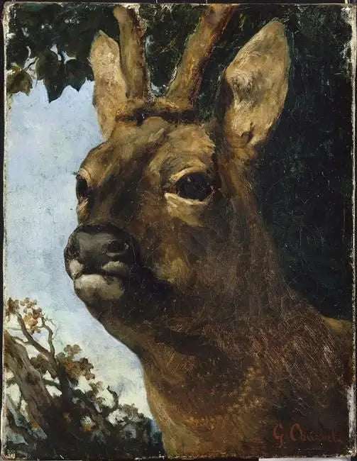 Hjortehode - Gustave Courbet