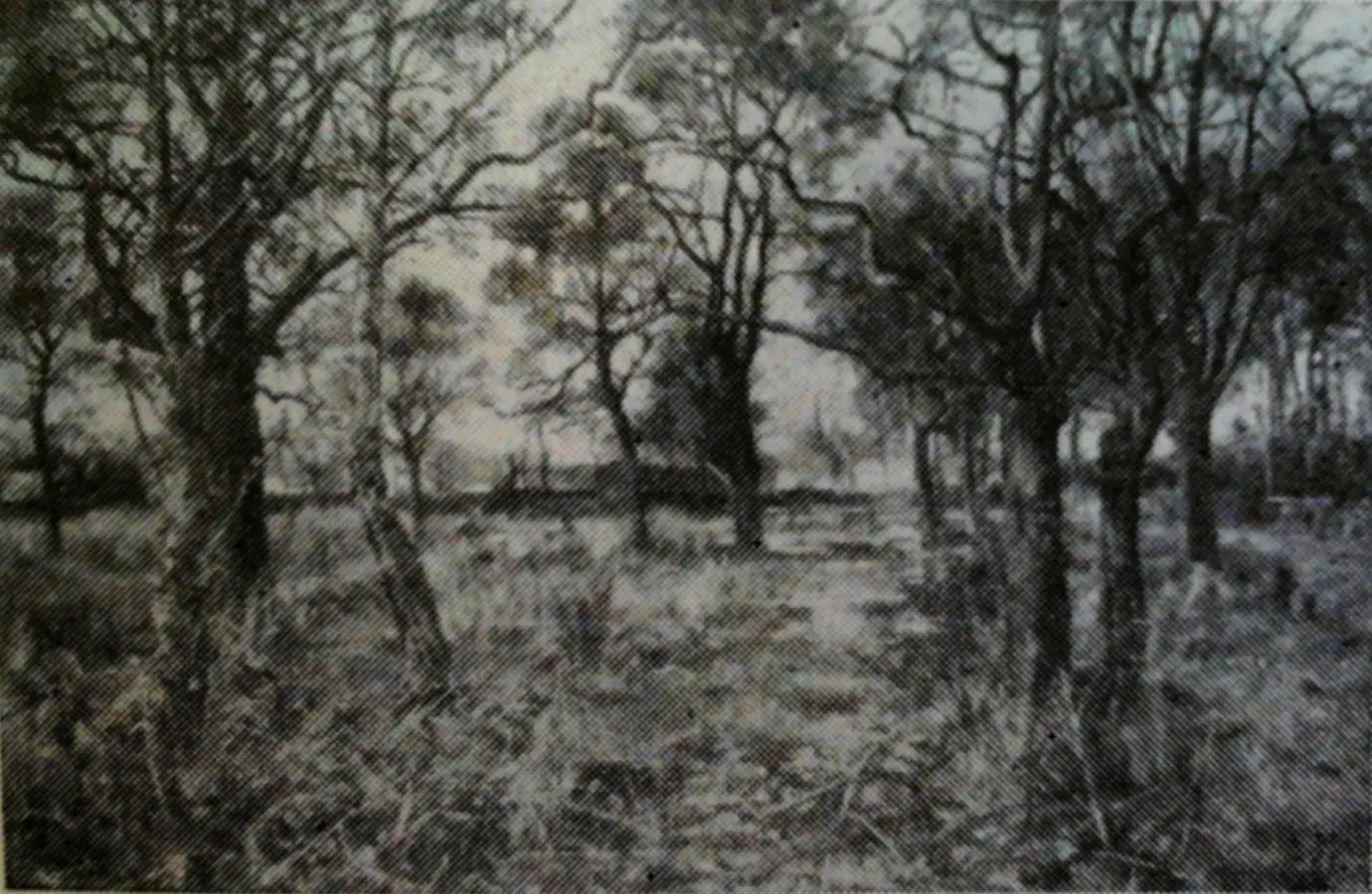 Un village à l’orée d’un bois. - Gustave Courbet - Alpha Reproduction