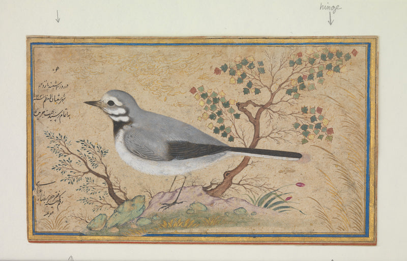 Étude d’oiseau - Riza-yi 'Abbasi
