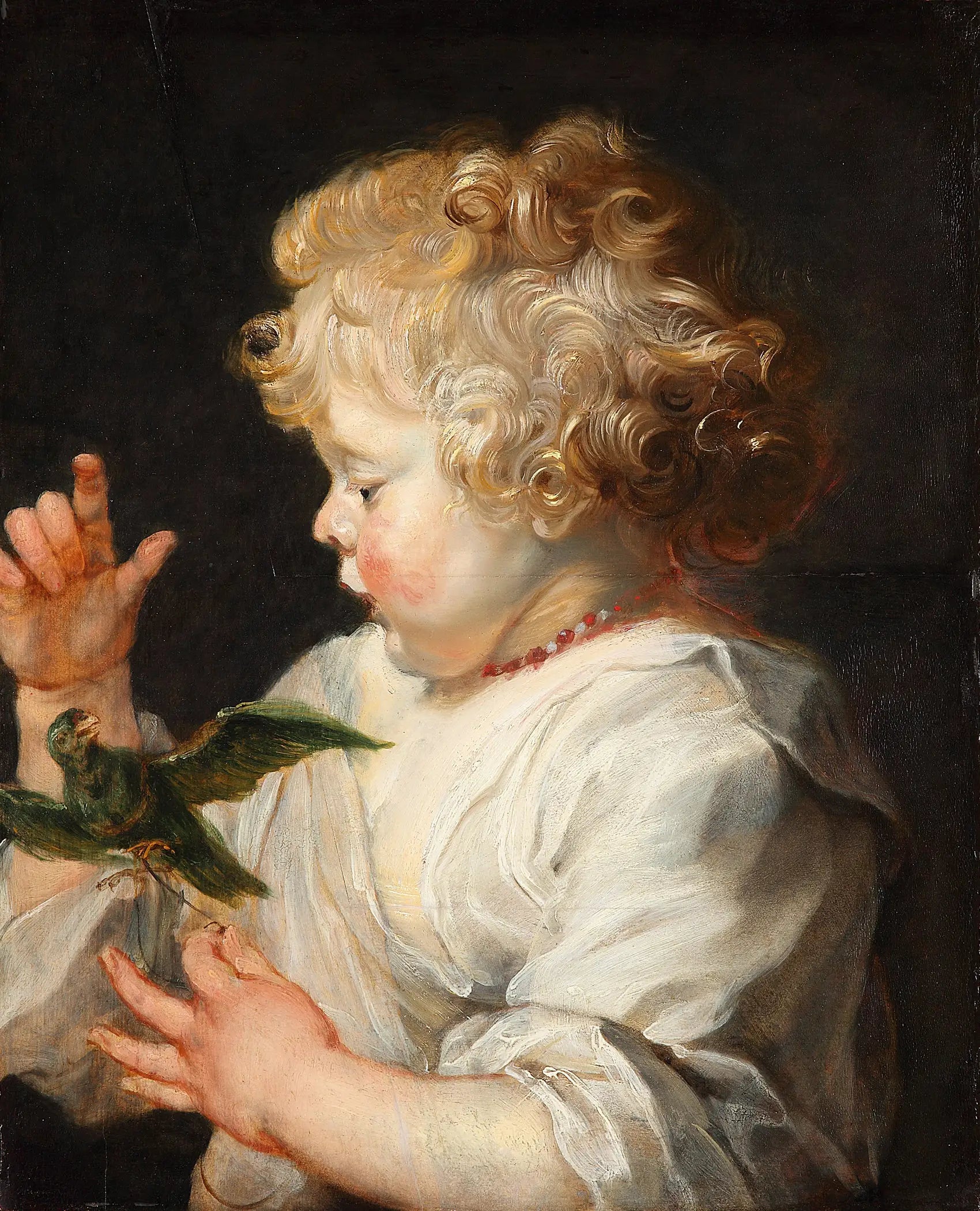 Un enfant avec un oiseau - Peter Paul Rubens - Alpha Reproduction