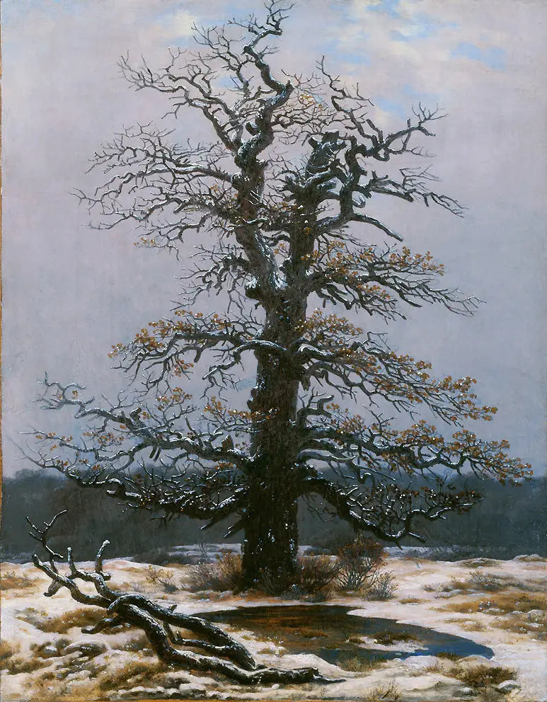 Eik under snøen - Caspar David Friedrich