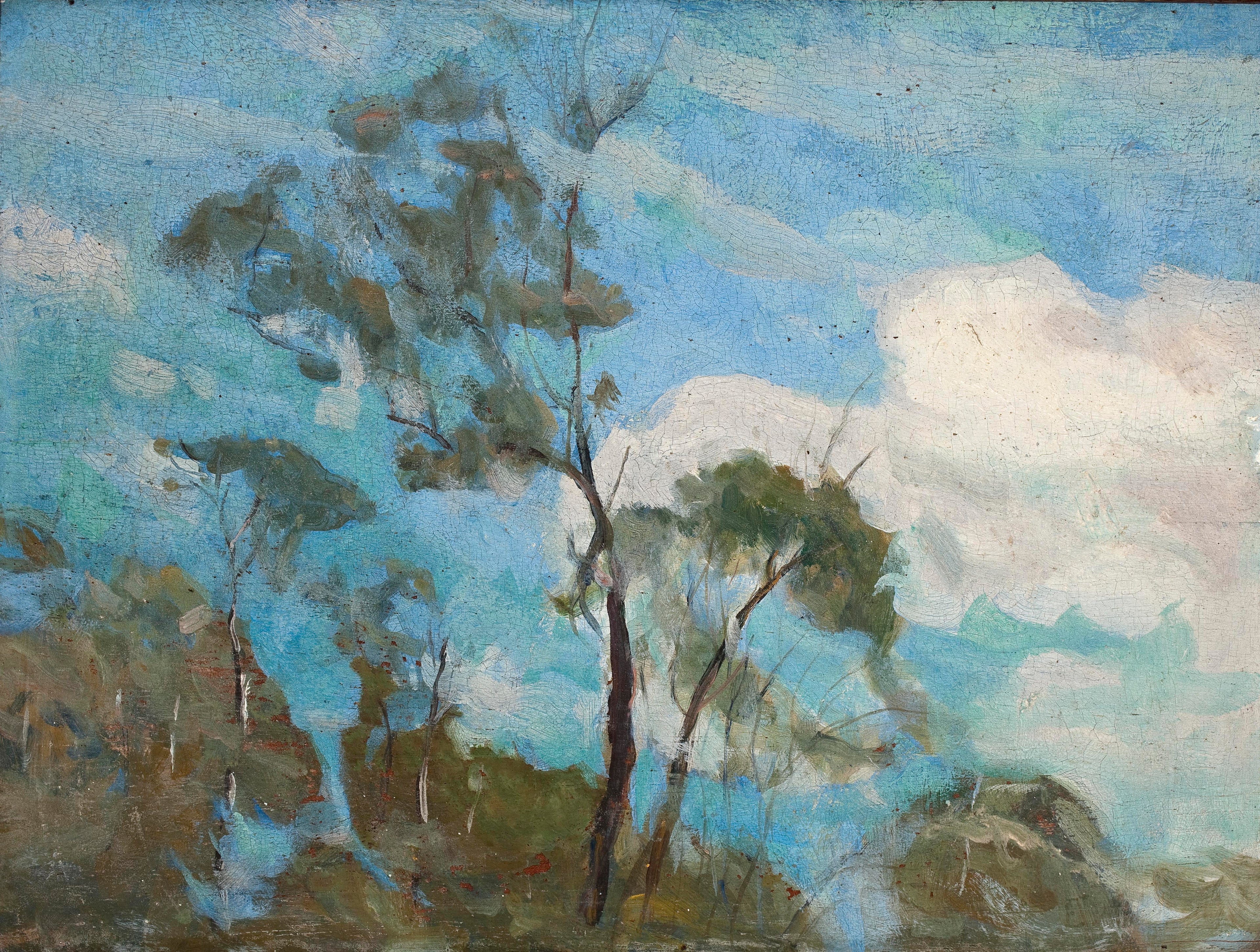 Céu de Teresópolis - Eliseu Visconti