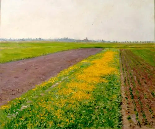 Gennevilliers-sletten - Gustave Caillebotte