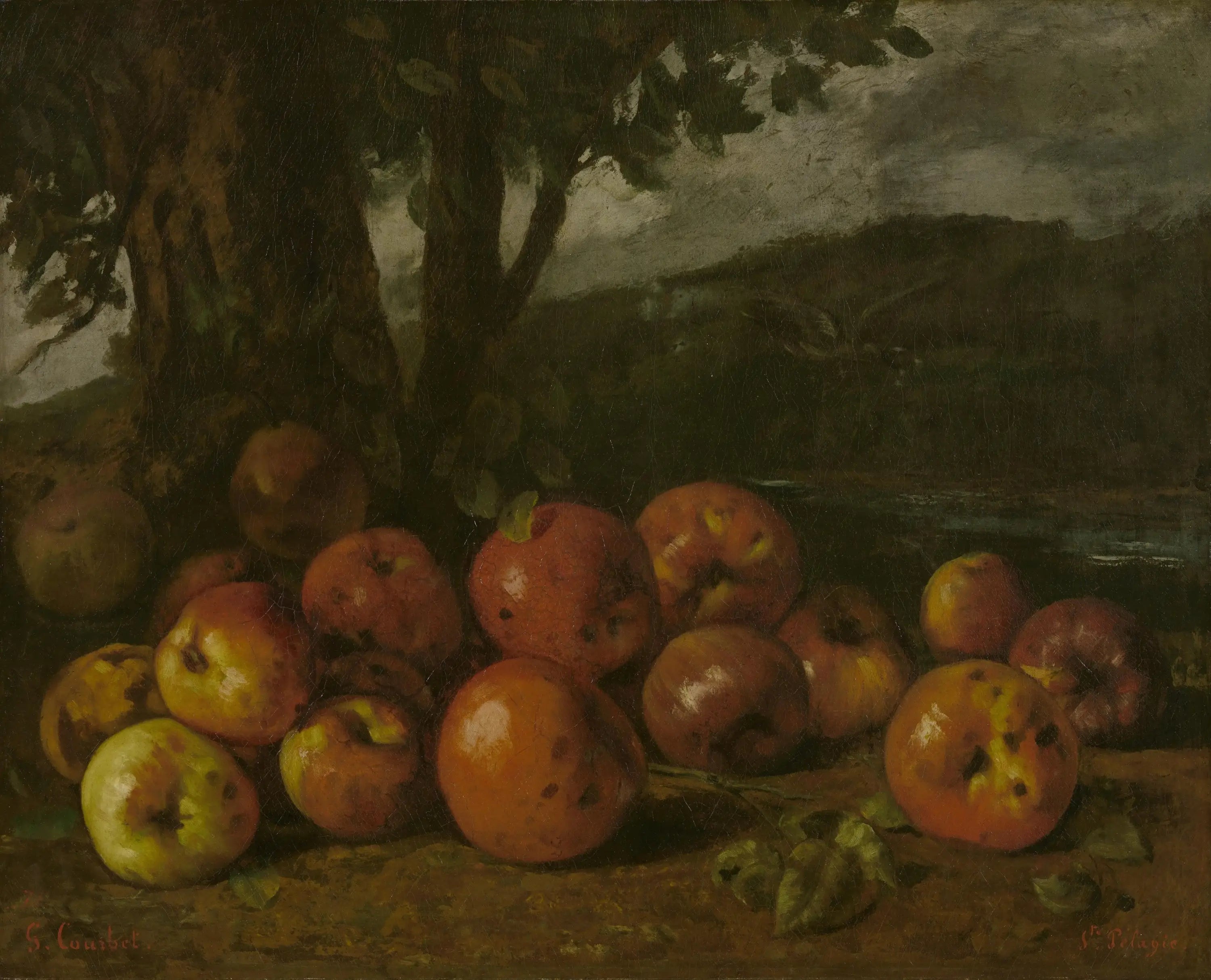 Nature morte aux pommes - Gustave Courbet - Alpha Reproduction