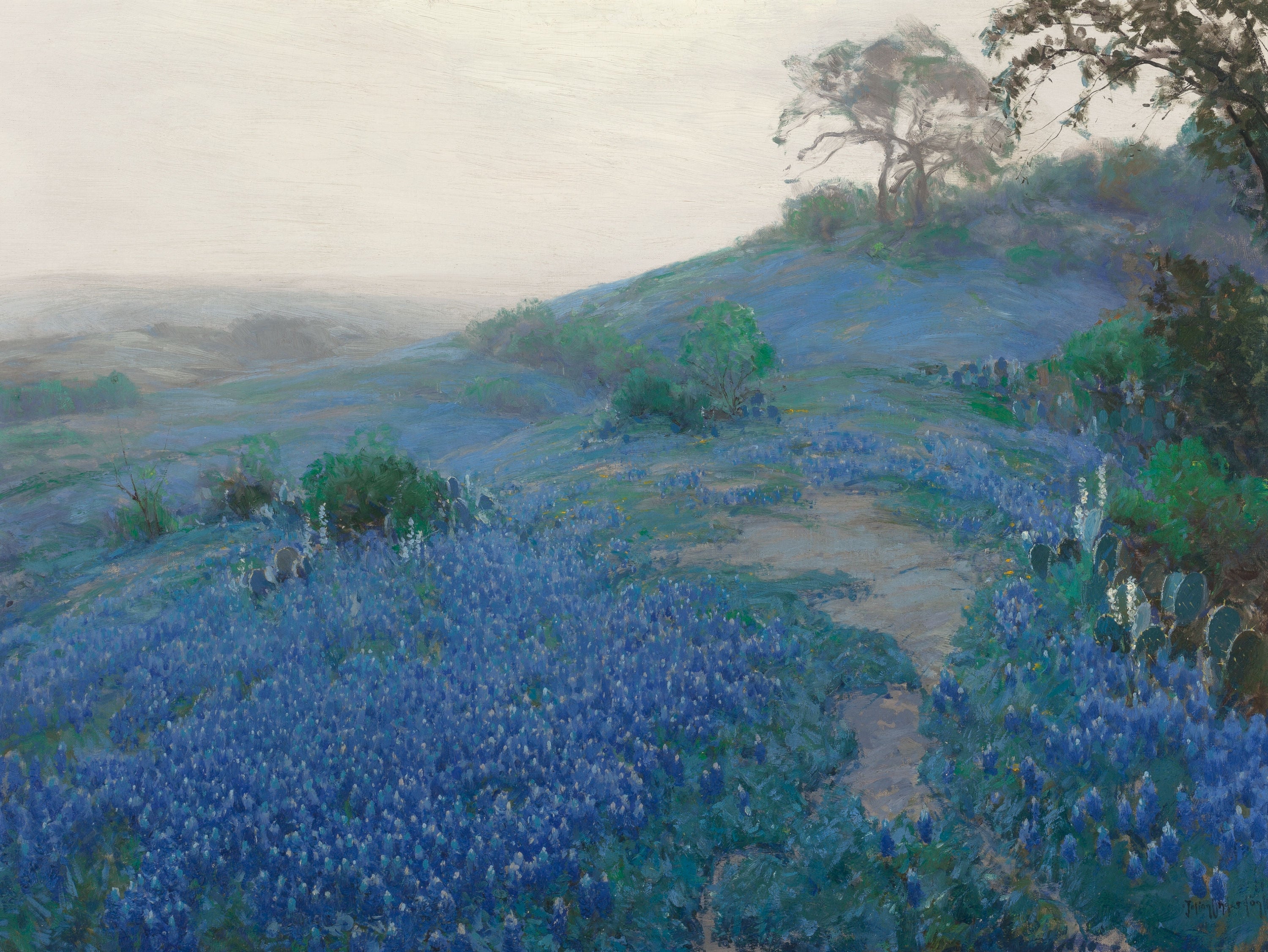 Blue Bonnet Field tôt le matin San Antonio Texas - Julian Onderdonk - Alpha Reproduction