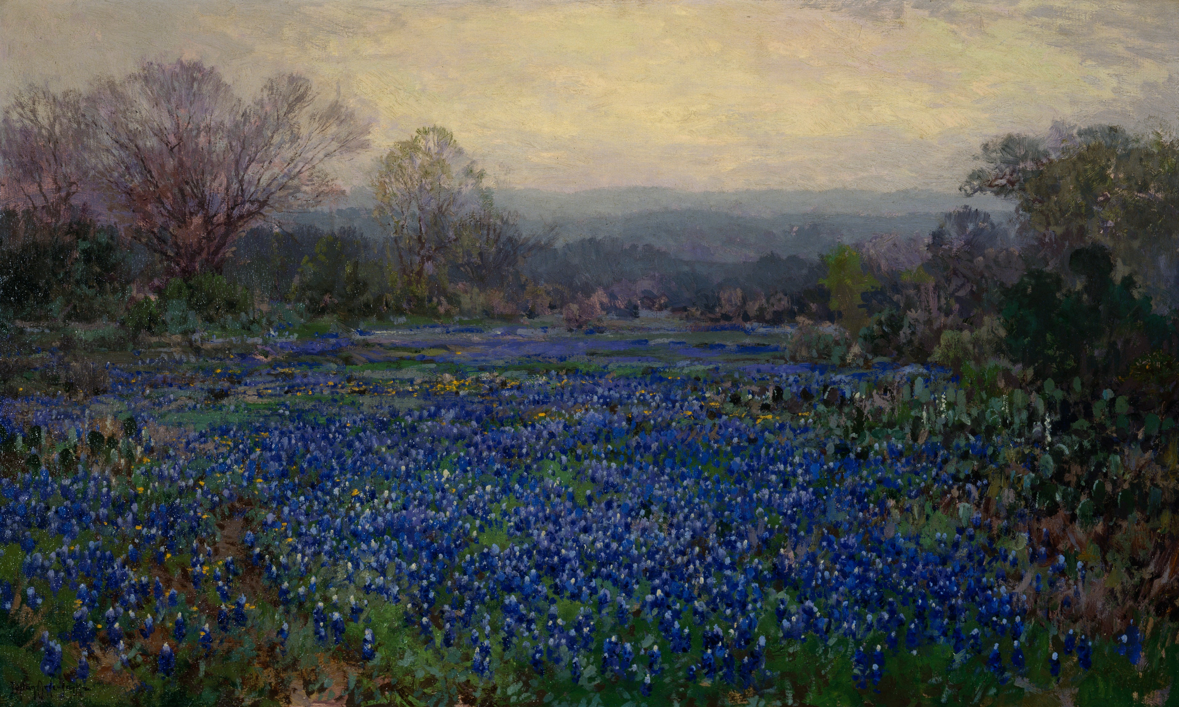 Sans titre (Champ de lupins bleus) - Julian Onderdonk - Alpha Reproduction