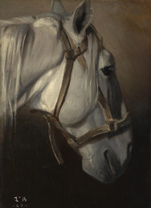 Tête de cheval blanc - Léon Bonnat