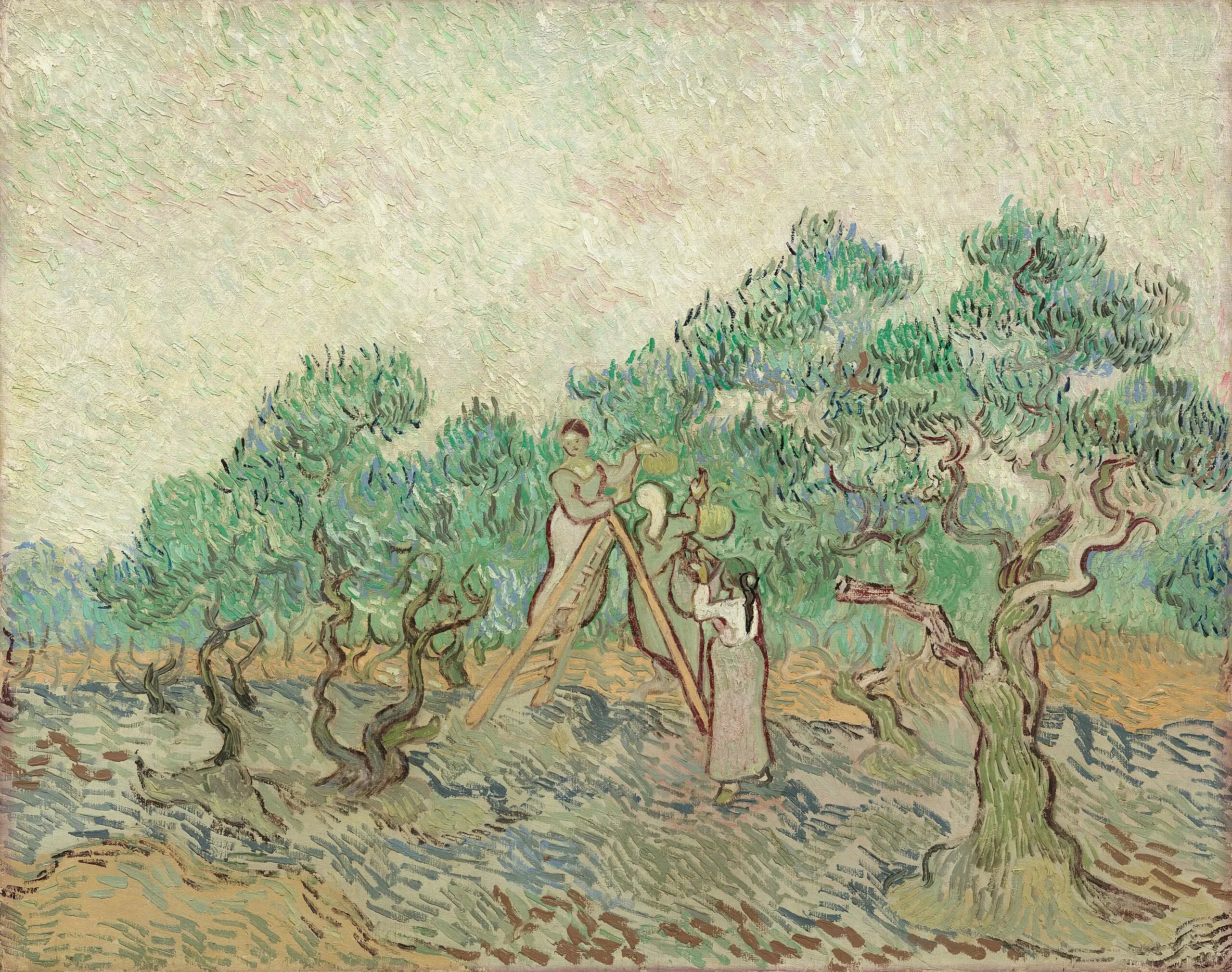 Reproduction du tableau « La Cueillette des olives - Vincent van Gogh » par Alpha Reproduction en peinture à l’huile