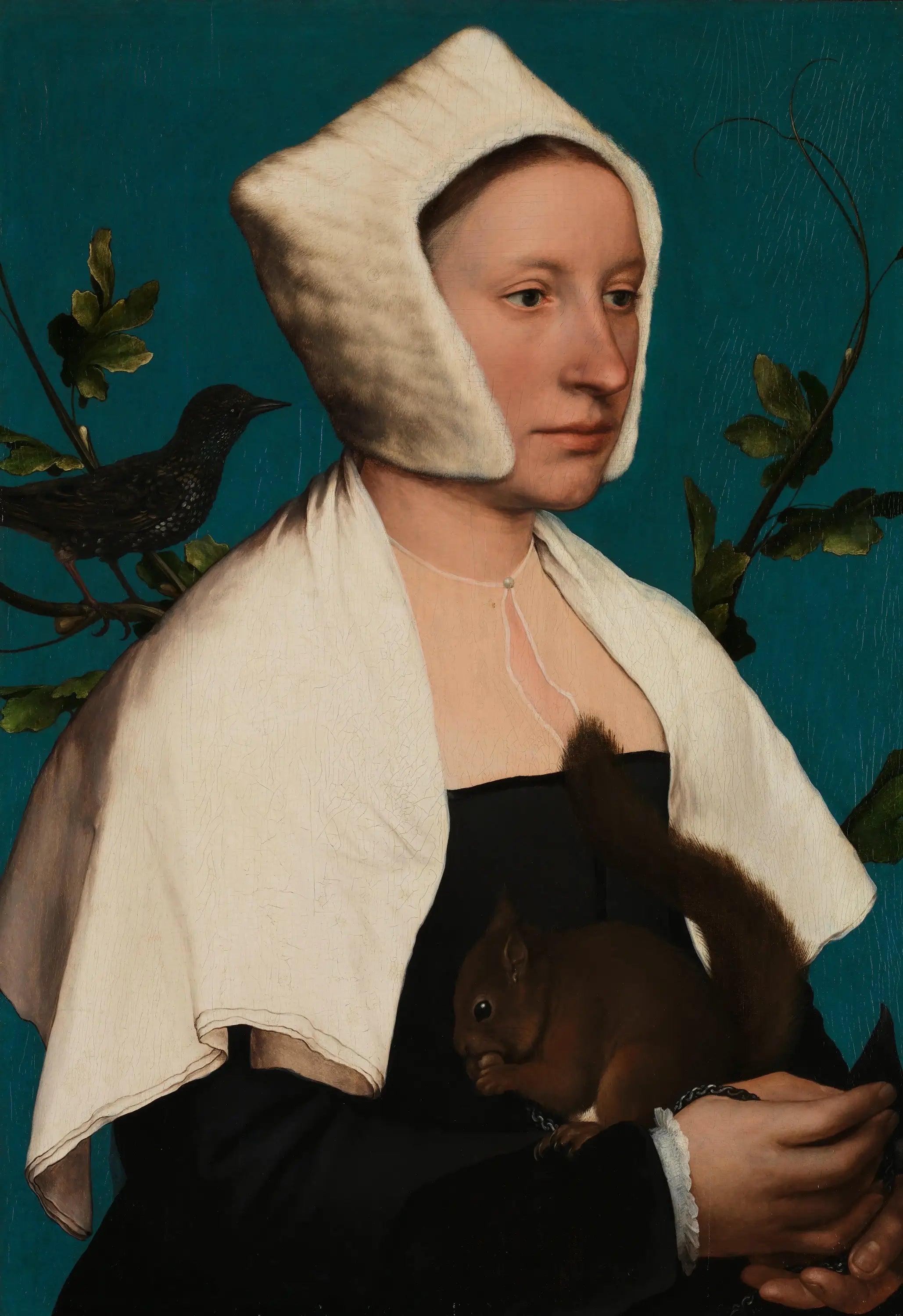 A Lady with a Squirrel and a Starling (Anne Lovell?) - Hans Holbein le Jeune - Alpha Reproduction