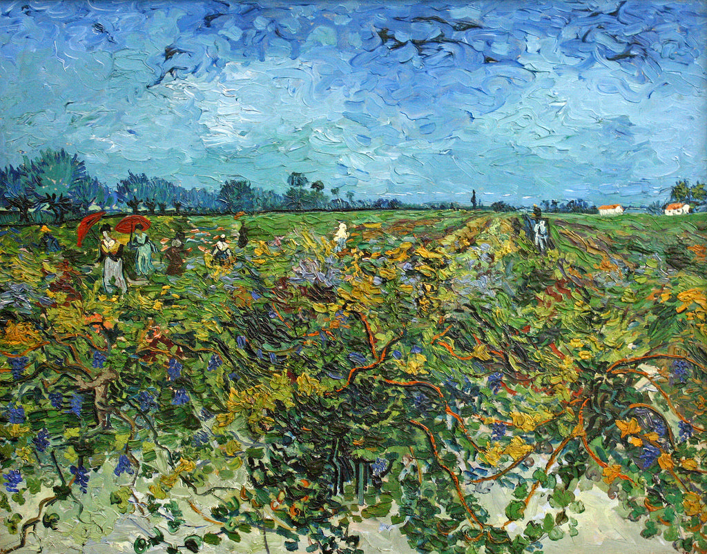 🍇 Den grønne vingården – Vincent van Gogh (1888)