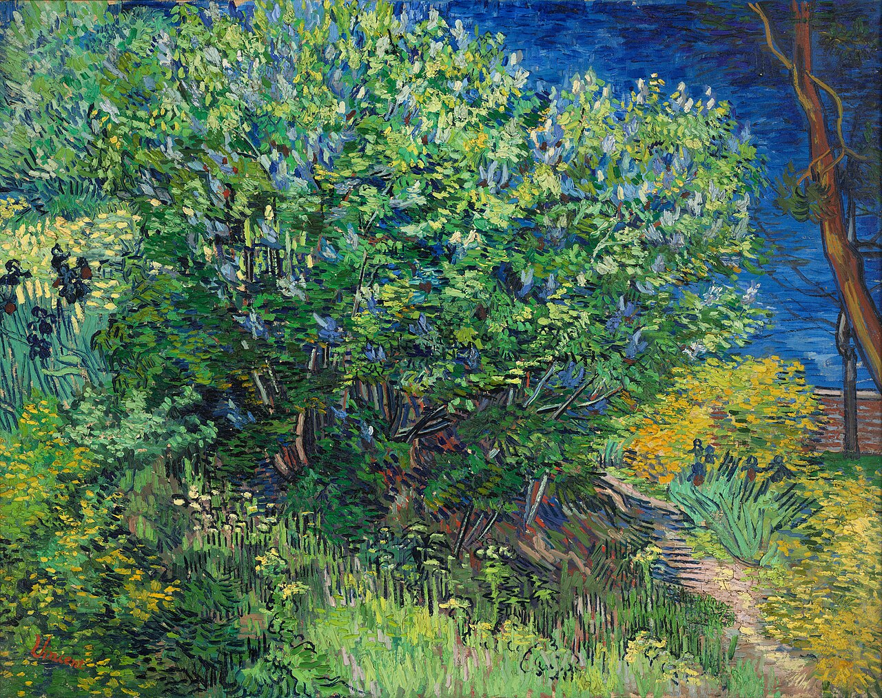 🌸 Syrinene – Vincent van Gogh (1889)