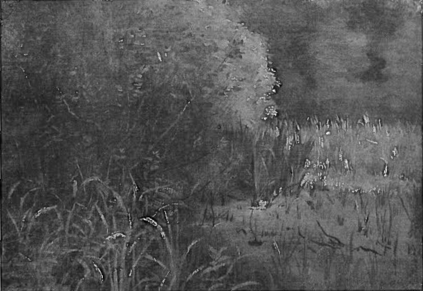 Q52718597 - Lovis Corinth