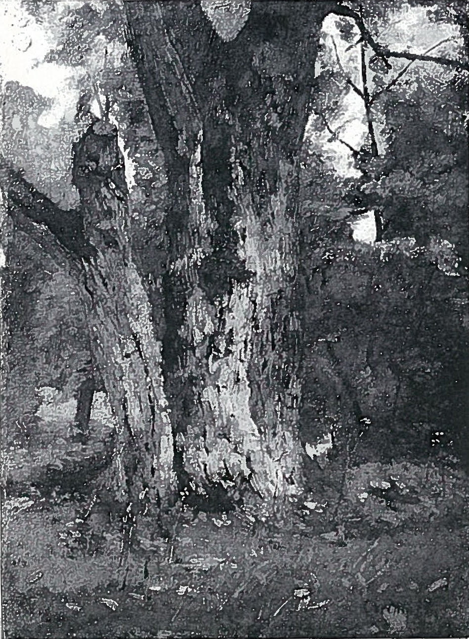 Aweiderpark à Königsberg - Lovis Corinth