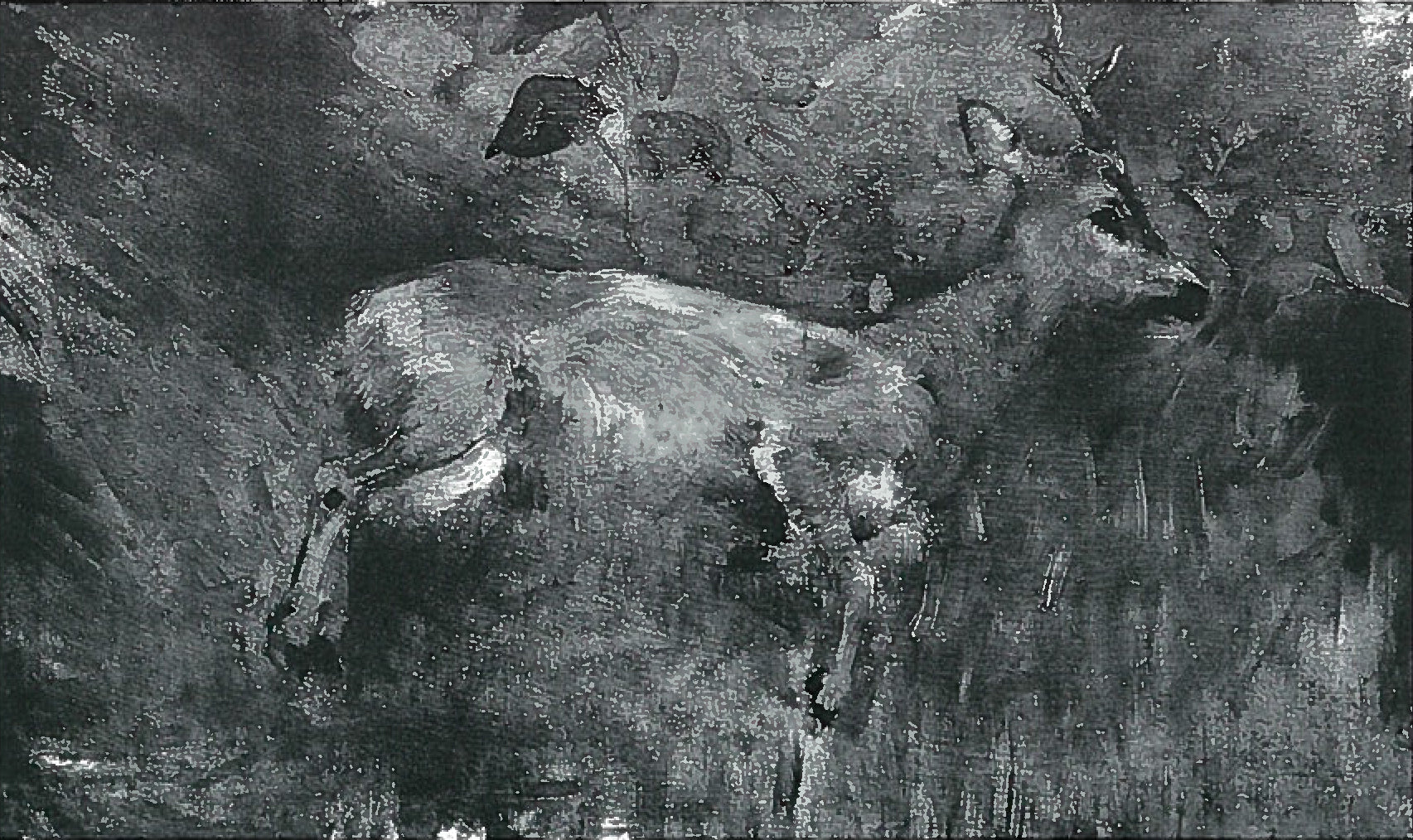 Q53033986 - Lovis Corinth