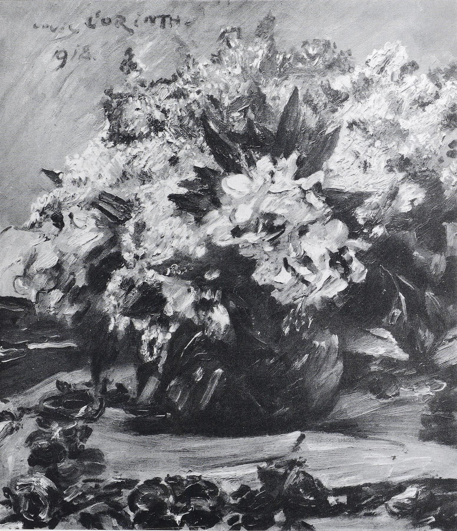 Q134293153 - Lovis Corinth