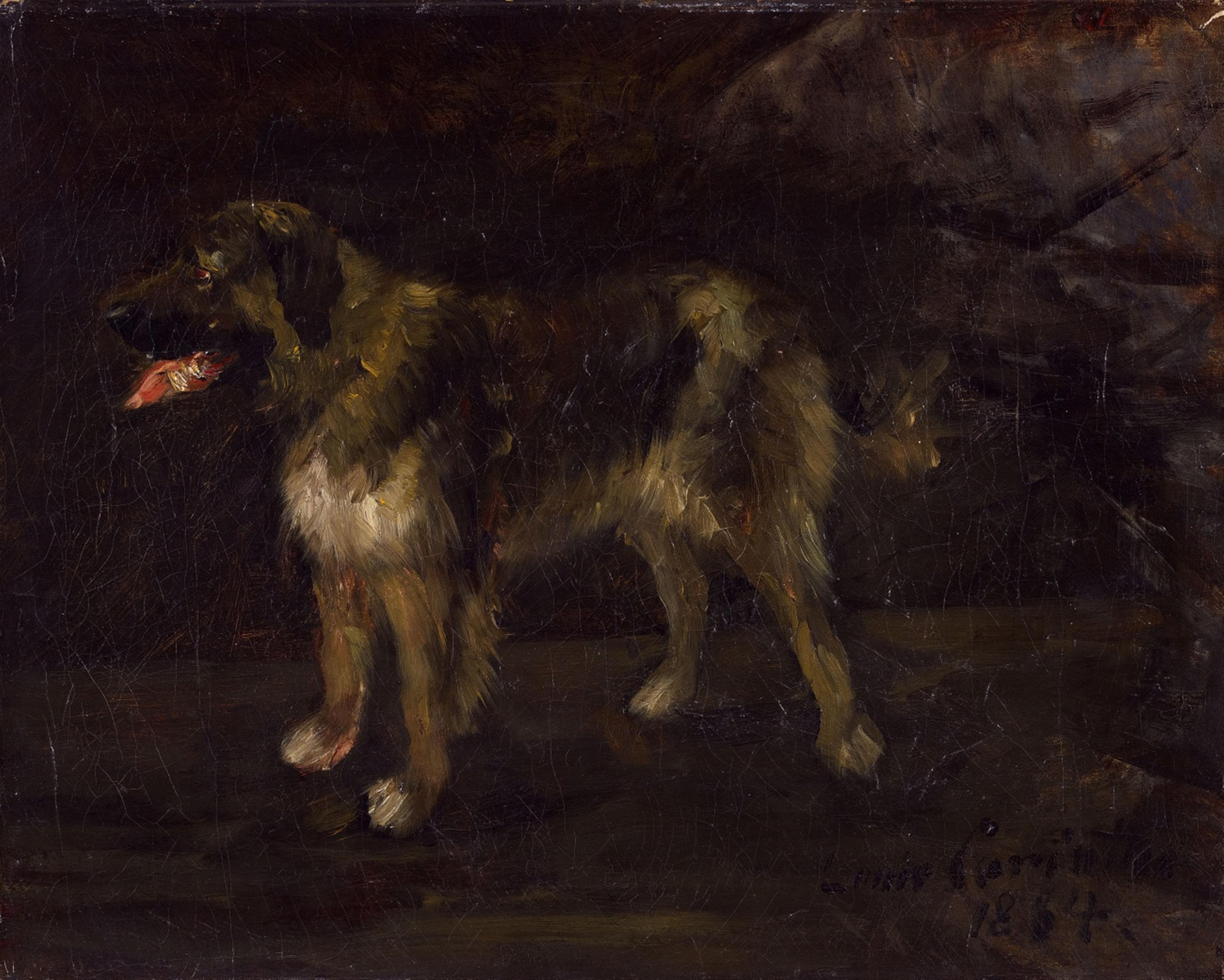 Étude canine - Lovis Corinth