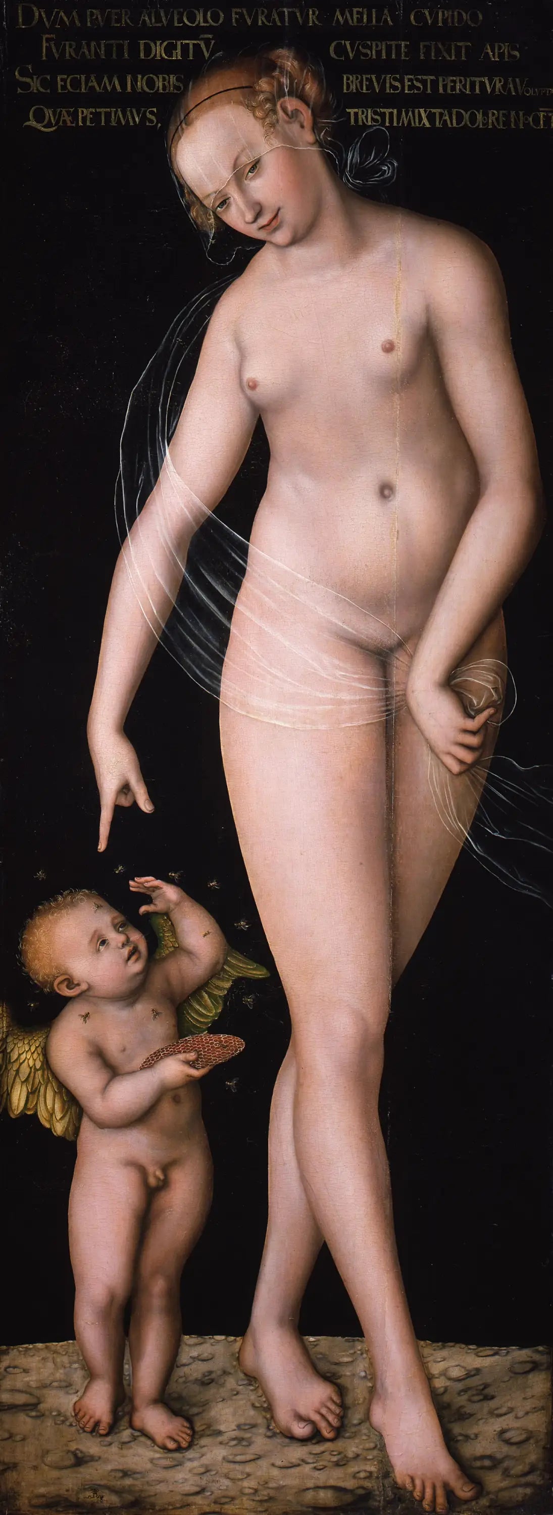 Vénus avec Cupidon le voleur de miel - Lucas Cranach the Elder - Alpha Reproduction