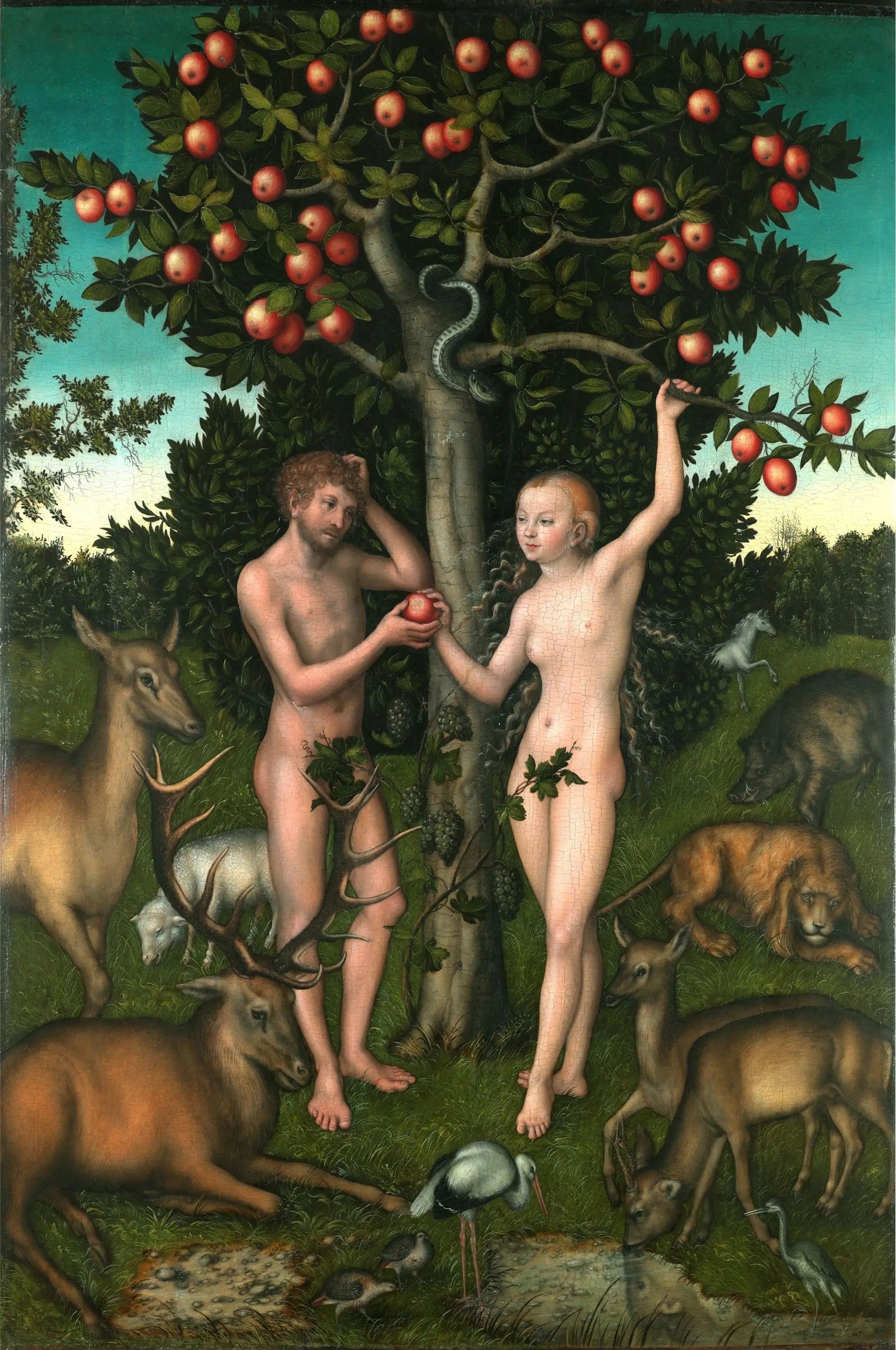 Adam et Ève - Lucas Cranach the Elder - Alpha Reproduction