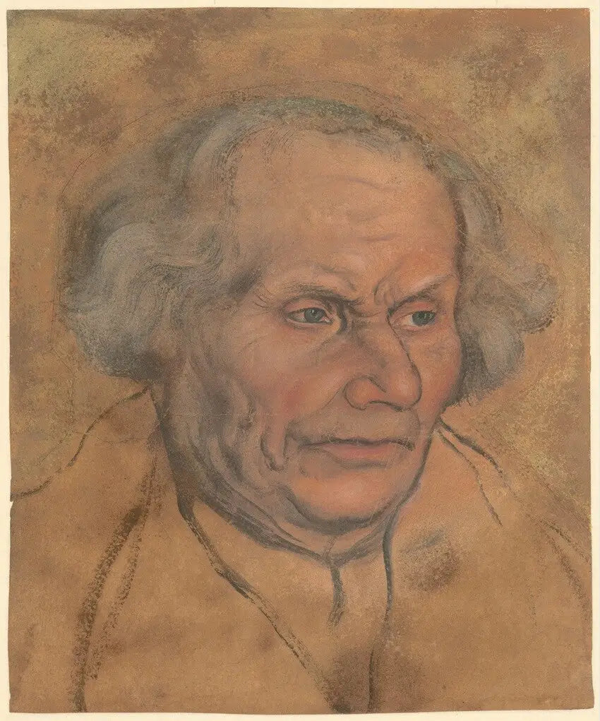 Hans Luther - Lucas Cranach the Elder - Alpha Reproduction