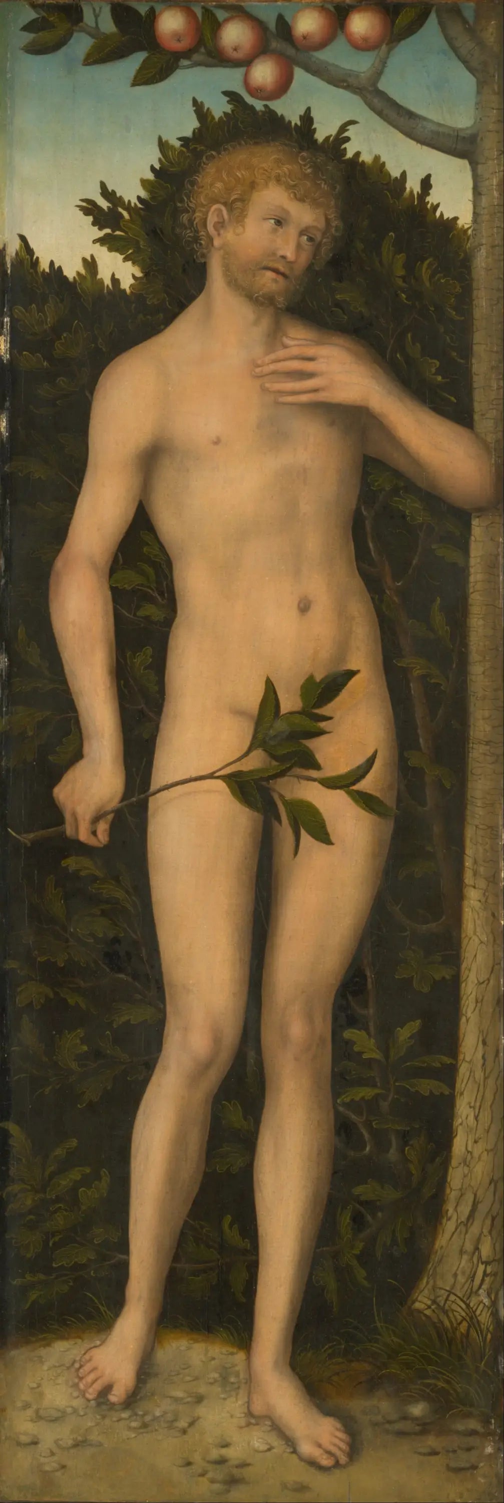 Adam - Lucas Cranach the Elder - Alpha Reproduction