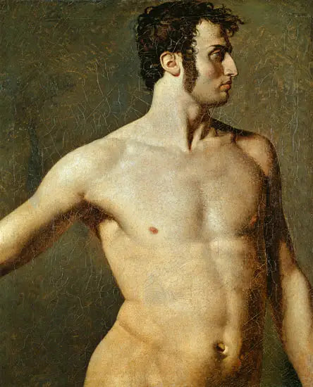 Mannens torso - Jean-Auguste-Dominique Ingres