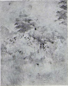 Le Jardin de Mézy - Berthe Morisot