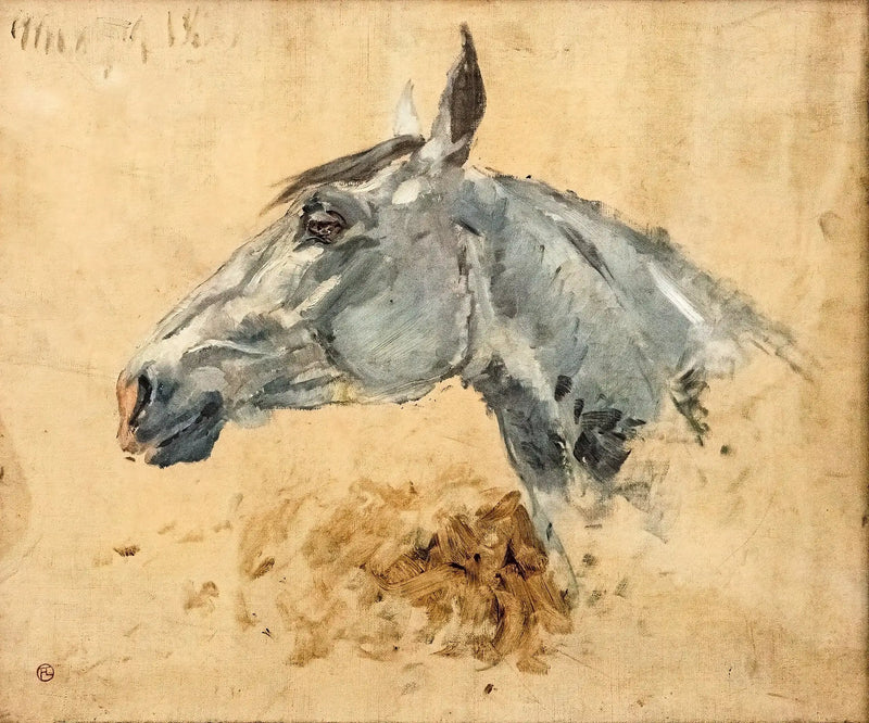 Hvit hest Gazelle - Henri de Toulouse-Lautrec