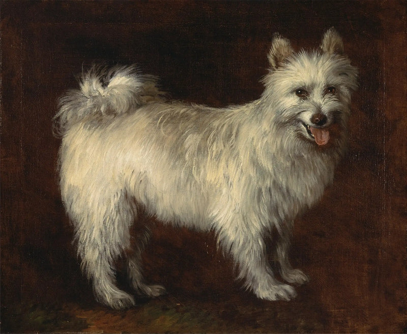 Spitz-hund - Thomas Gainsborough

Source:
Chien Spitz - Thomas Gainsborough