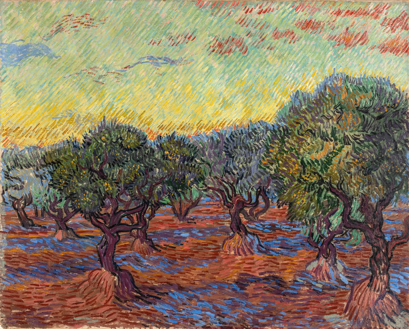 Olivlund, Saint-Rémy - Vincent van Gogh