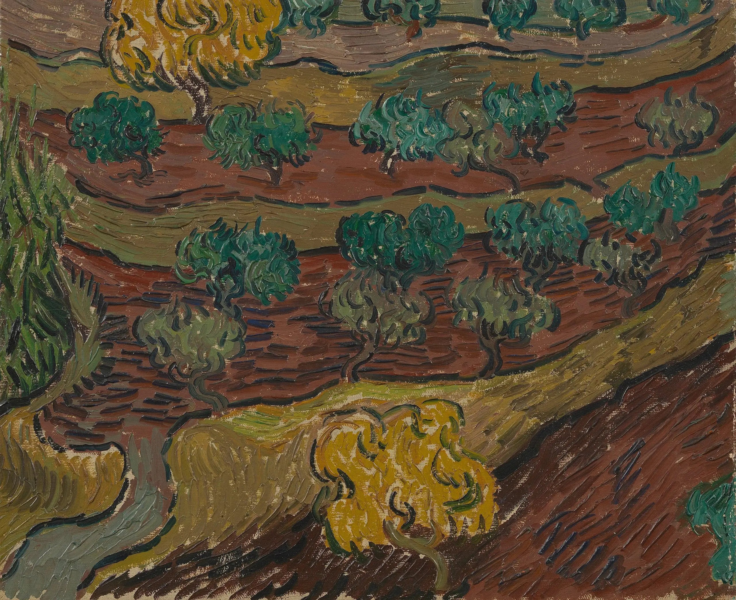 Reproduction du tableau « Oliviers sur une colline - Vincent van Gogh » par Alpha Reproduction en peinture à l’huile