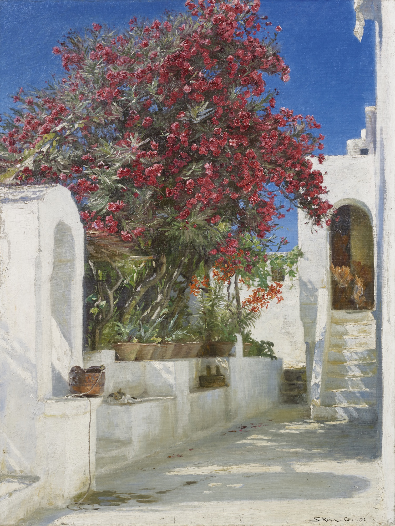 Rosentre i blomst, Capri - Peder Severin Krøyer