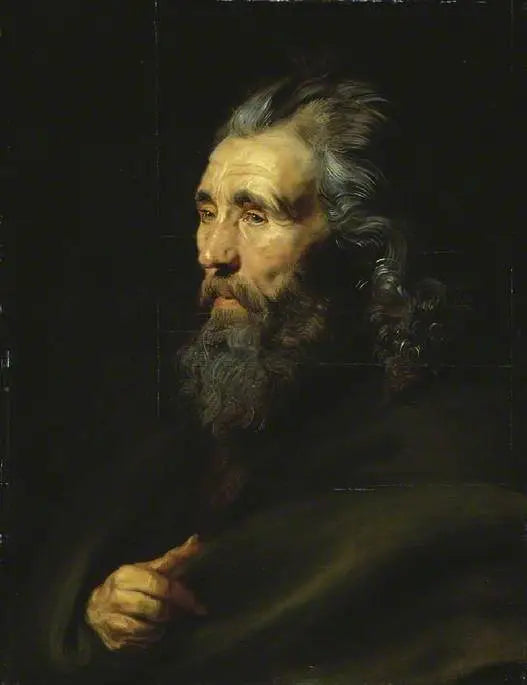 Étude de tête d’un homme barbu - Peter Paul Rubens - Alpha Reproduction