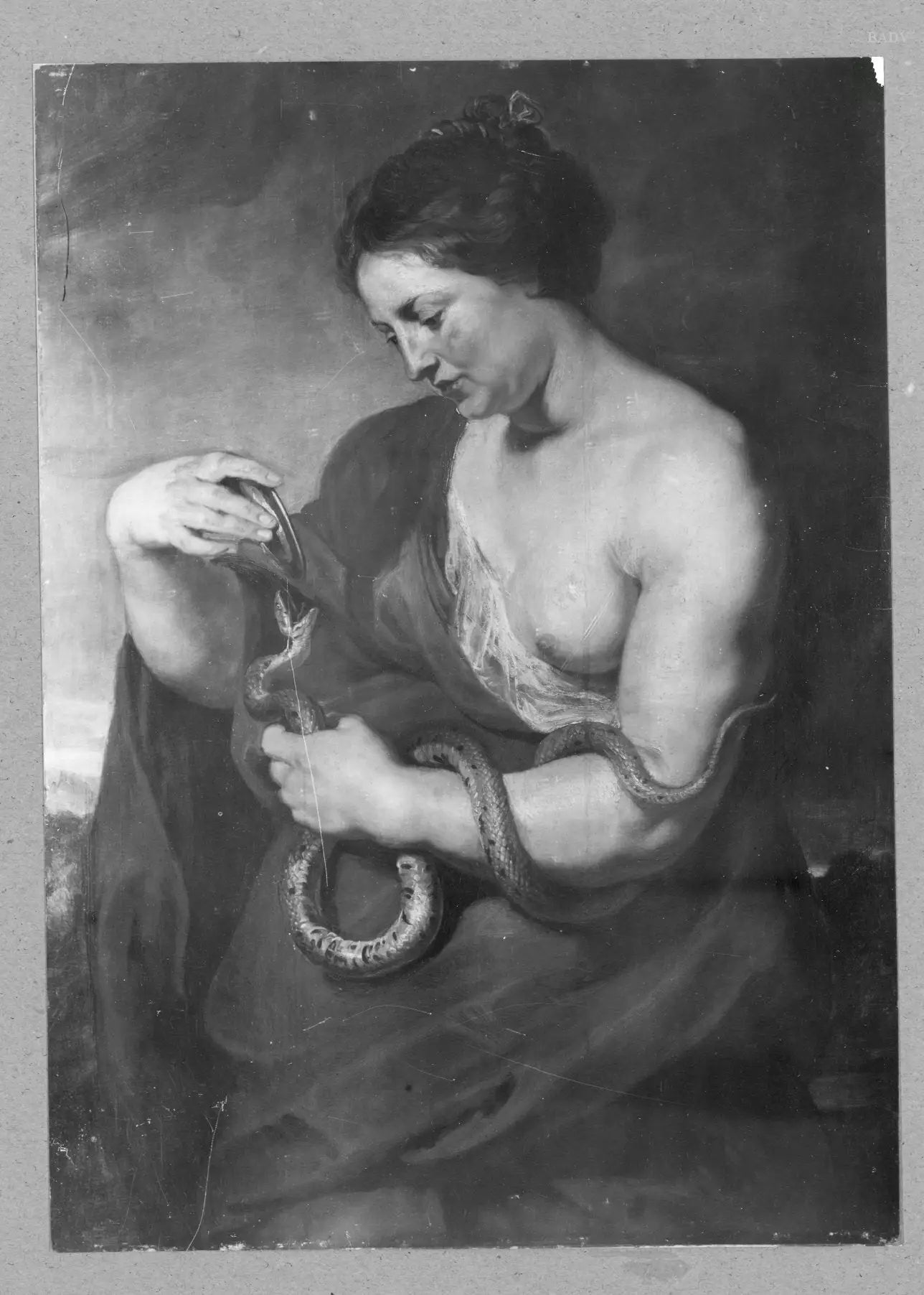 Femme avec un serpent (Hygie ou Cléopâtre) - Peter Paul Rubens - Alpha Reproduction