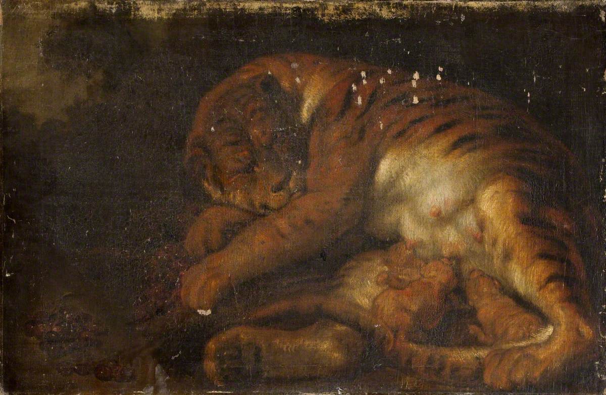 Tigresse et ses petits - Peter Paul Rubens