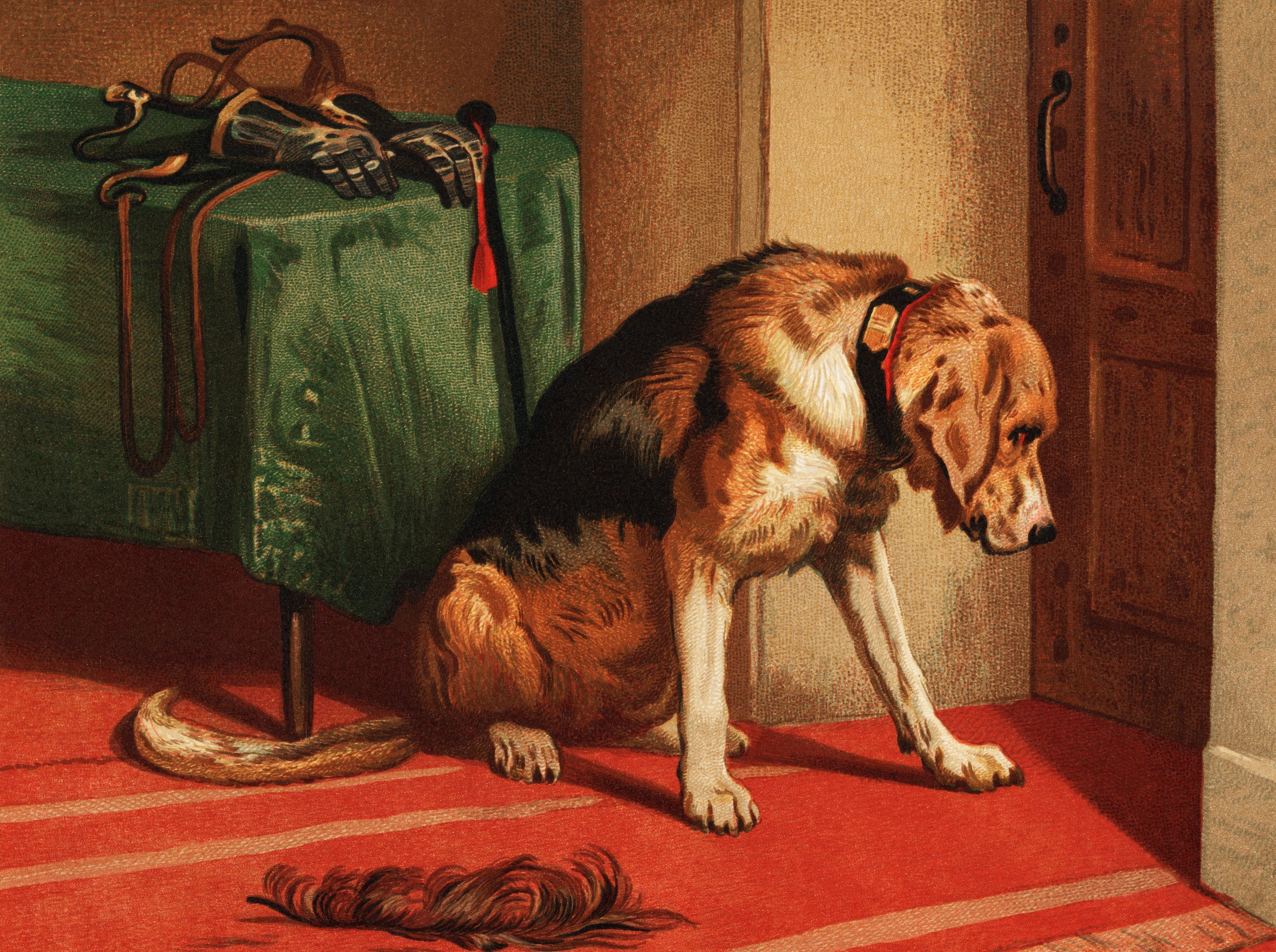 Attente - Edwin Henry Landseer