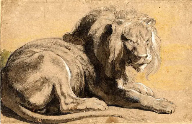 Lion - Peter Paul Rubens - Alpha Reproduction