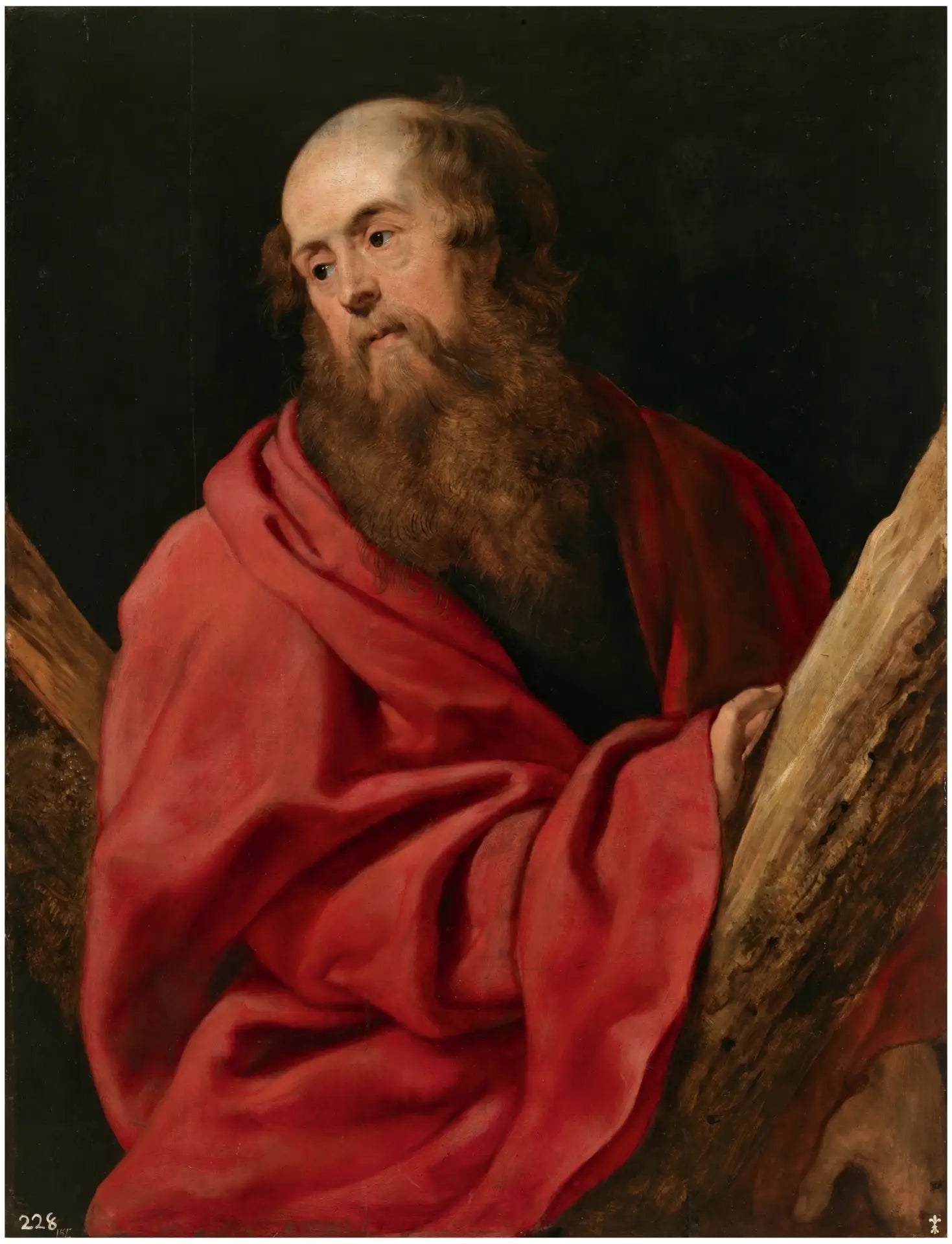 Saint André - Peter Paul Rubens - Alpha Reproduction