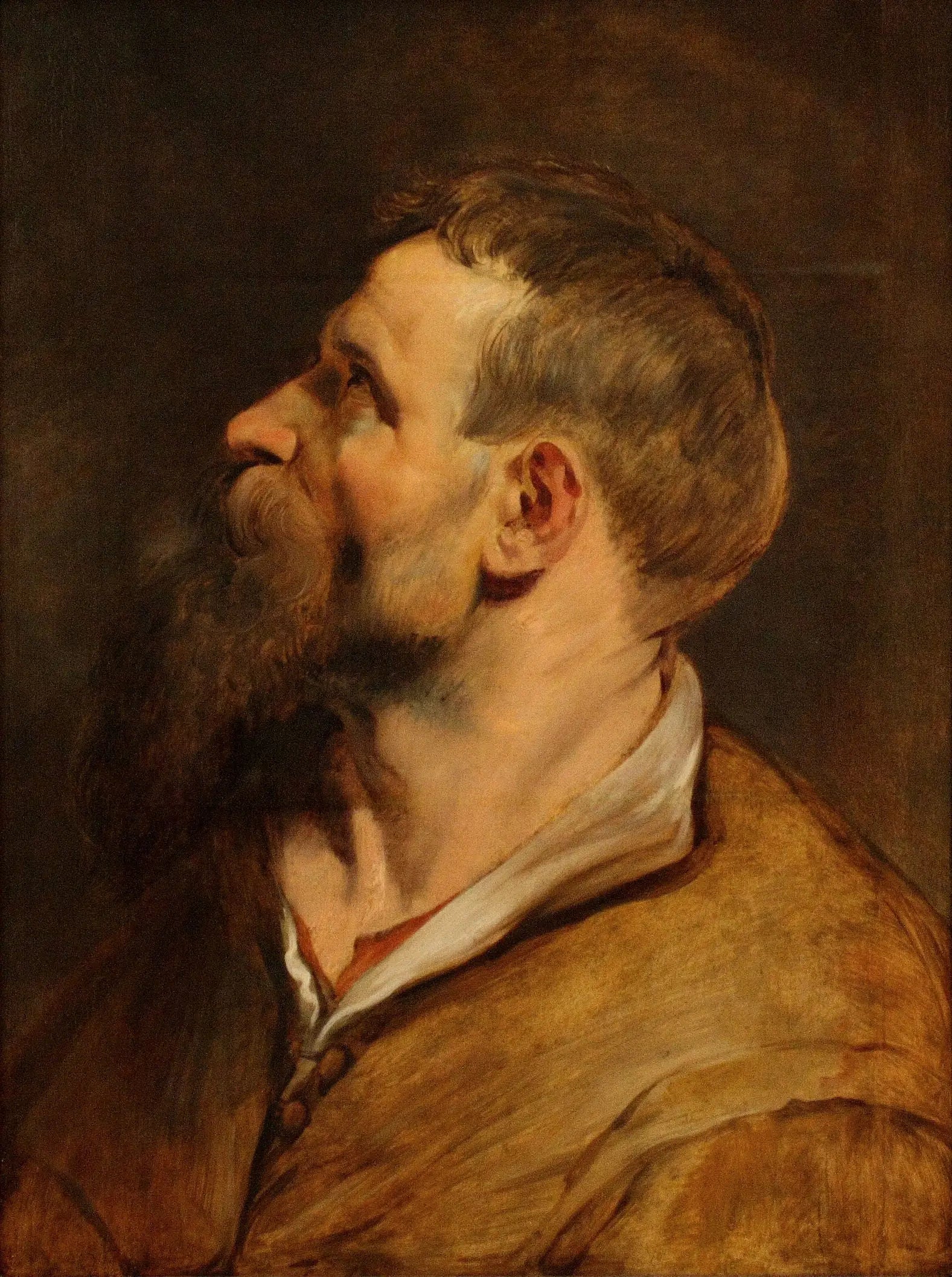 Tête d’un homme barbu regardant vers la gauche - Peter Paul Rubens - Alpha Reproduction