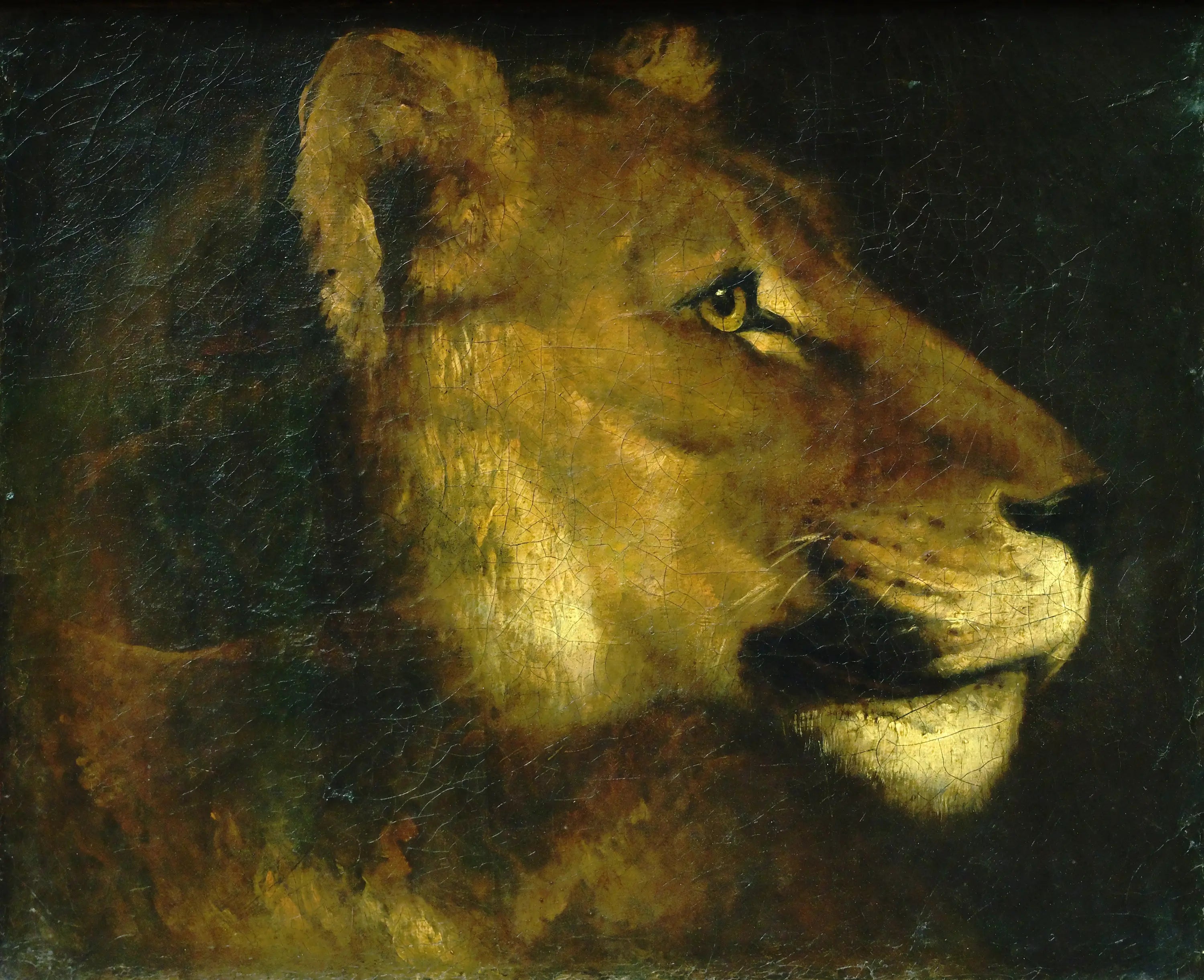 Reproduction du tableau « Tête de lionne - Théodore Géricault » par Alpha Reproduction en peinture à l’huile